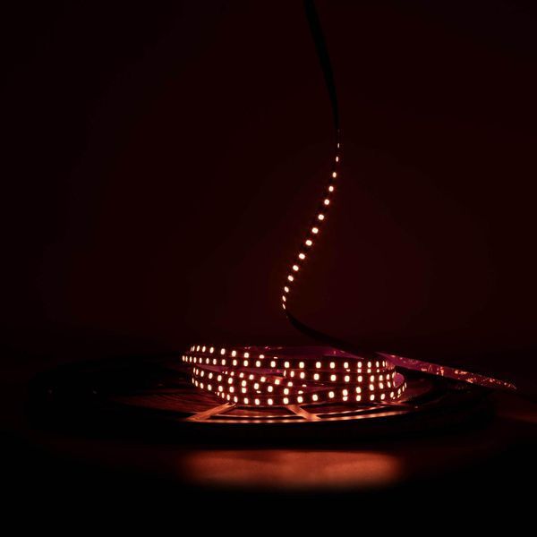 Светодиодная LED лента PROLUM&trade; 24V; IP20; 2835\120; 6ММ; S-TYPE; Series "S", Оранжевый  10 метров (📌 PRLM350041) фото