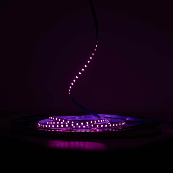 Светодиодная LED лента PROLUM&trade; 24V; IP20; 2835\120; 6ММ; S-TYPE; Series "S", Розовый  10 метров (📌 PRLM350038) фото