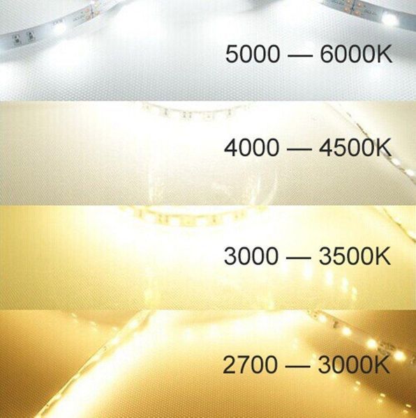Світлодіодна LED стрічка PROLUM&trade; 24V; 2835\120; IP20; Series "SG", Білий (5500-6000К) (📌 01661s |350001 Б2Я08) фото