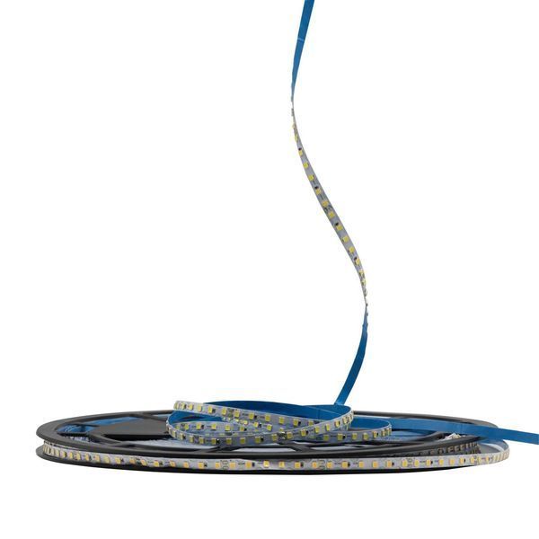 Светодиодная LED лента PROLUM&trade; 24V; IP20; 2835\120; 6ММ; S-TYPE; Series "S", Лимонно-Желтый  10 метров (📌 PRLM350040) фото