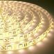 Светодиодная лента BIOM OEM 12В SMD5050 60 шт/м 900 Лм/м тёплый белый, IP65 герметичная, 5 метров 00-00014492-BIOM[2105] фото 5