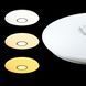 Светильник светодиодный Biom SMART SML-R07-80/2 3000-6000K 80Вт с пультом д/у 00-00020715-BIOM[2639] фото 2